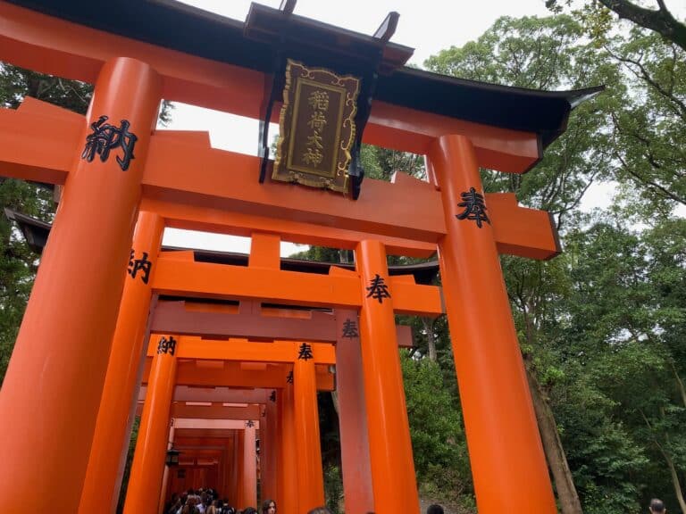 Formation en Hypnose Spirituelle Régressive à Metz